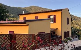 B&B La Fucinaia Pet Friendly Adults Only